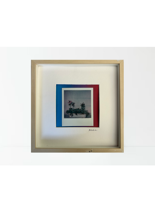 Opera n. 6 Asta di Beneficenza “2GiornixGaza”